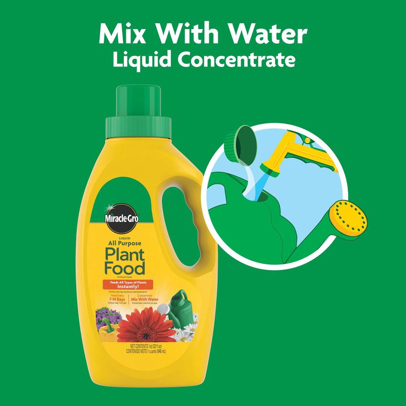 Miracle-Gro® Liquid All Purpose Plant Food Concentrate image number null